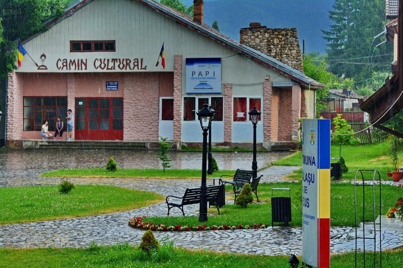 Pensiunea Salas Salasu de Sus Exterior foto