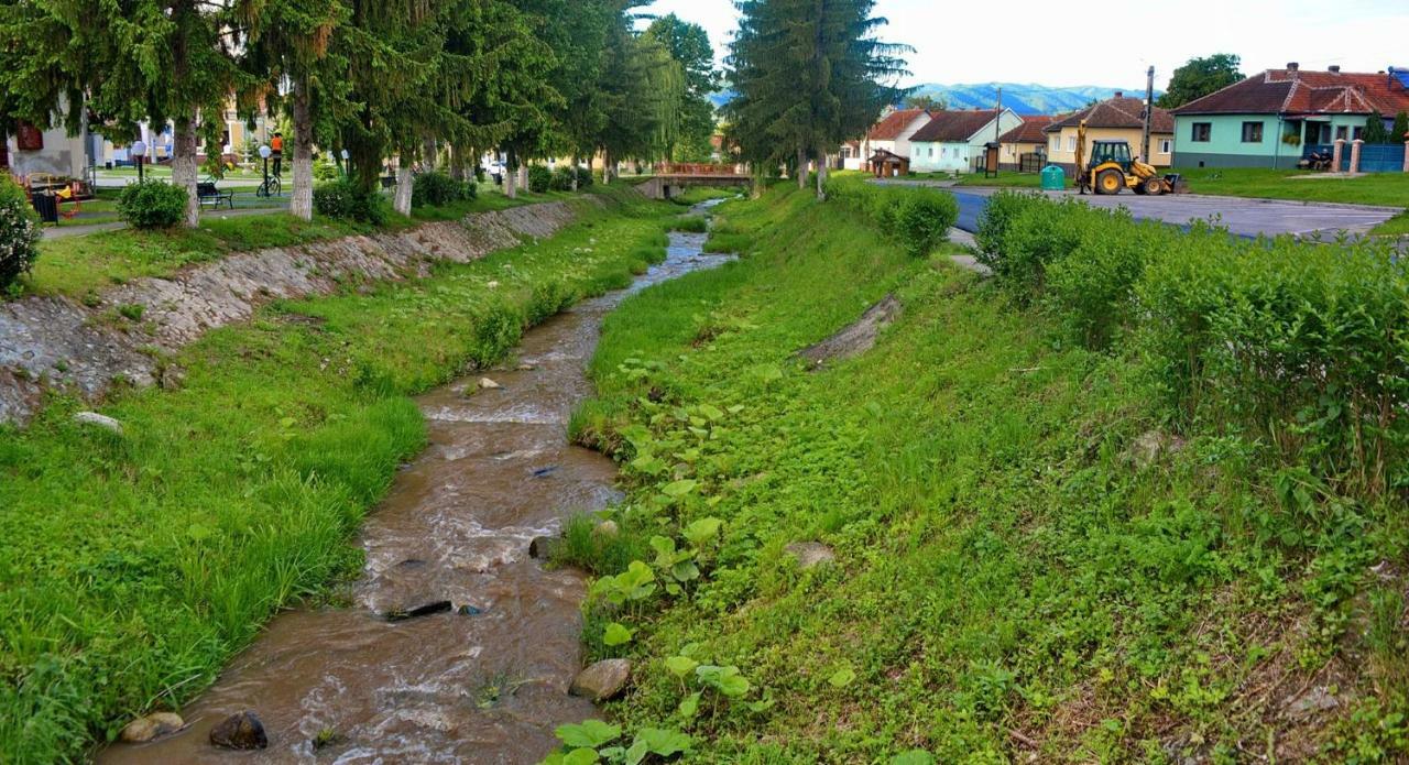 Pensiunea Salas Salasu de Sus Exterior foto